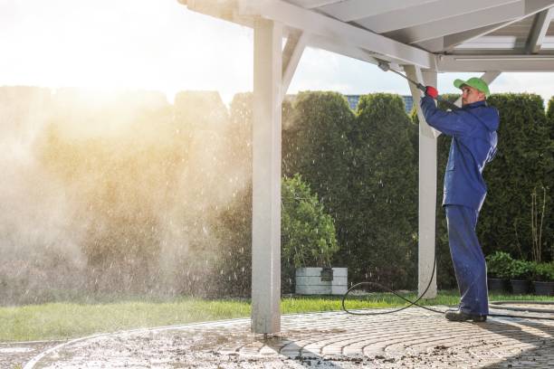 Best Driveway Pressure Washing  in Center Hill, FL